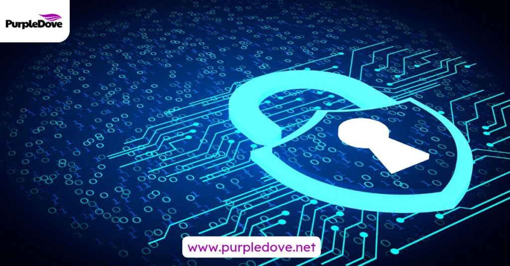 Best Practices for ERP Data Protection