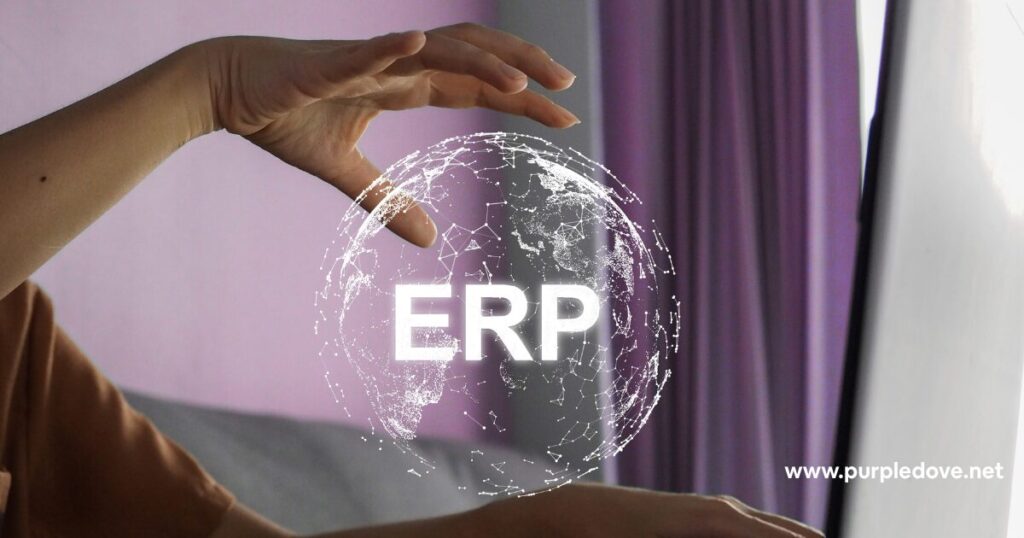 Why an ERP is the Most Profitable 2026 Investment for Nigerian SMEs