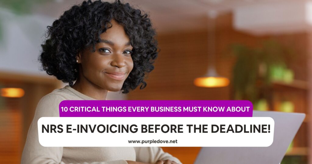 10 Critical Things Every Business Must Know About NRS E-Invoicing Before the Deadline